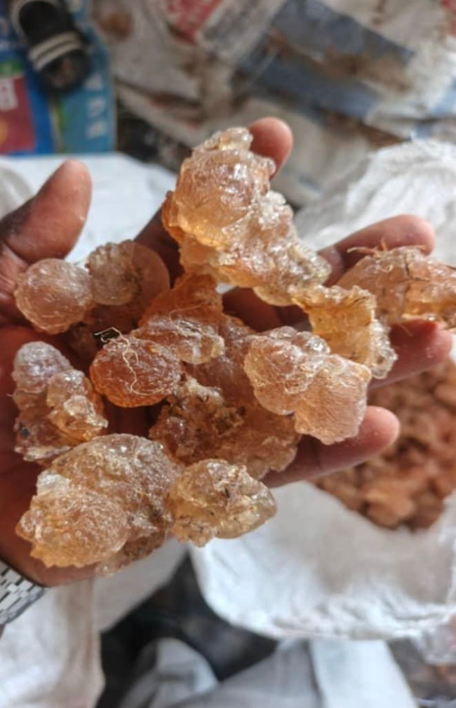 Gum Arabic (Natural Tears – Multiple Grades Available)